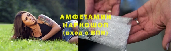 прущие грибы Аркадак