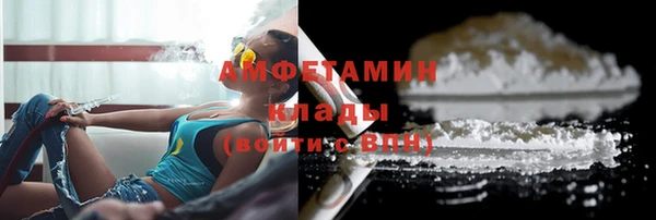 прущие грибы Аркадак
