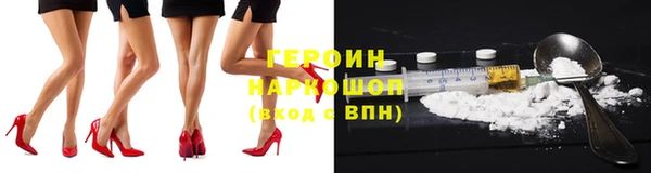 прущие грибы Аркадак