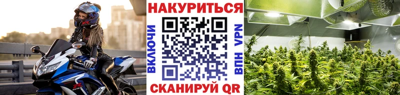 купить   Оханск  Каннабис VHQ 